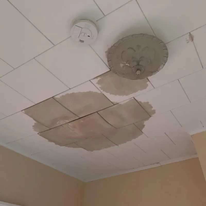 Ceiling Water Damage Repair in Ammon, ID