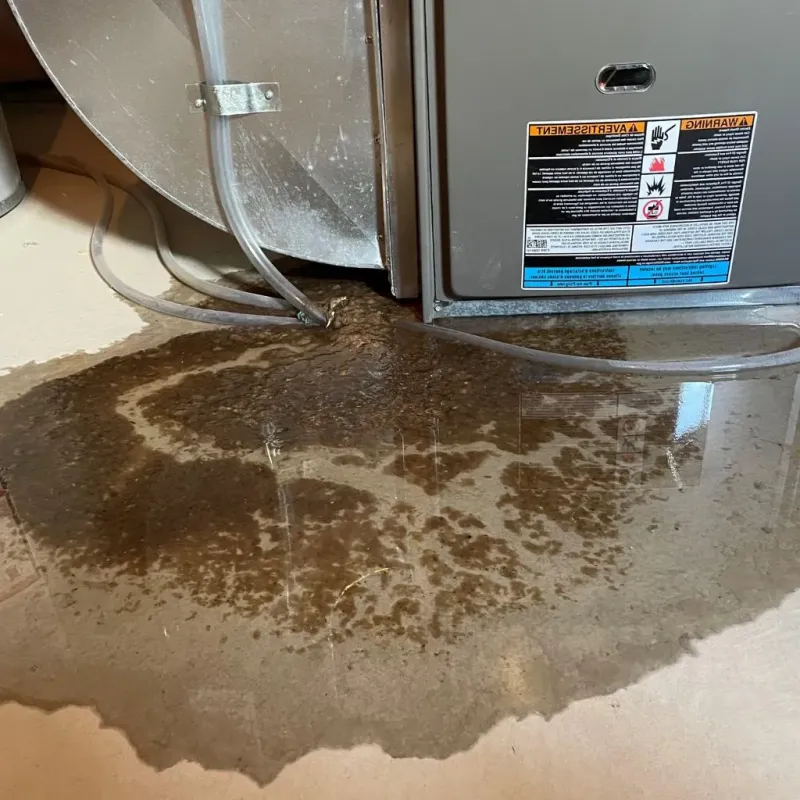 Pipe Burst and Leak Restoration in Ammon, ID